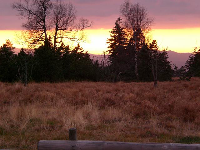 Schliffkopf 2007 Bild Nr 20